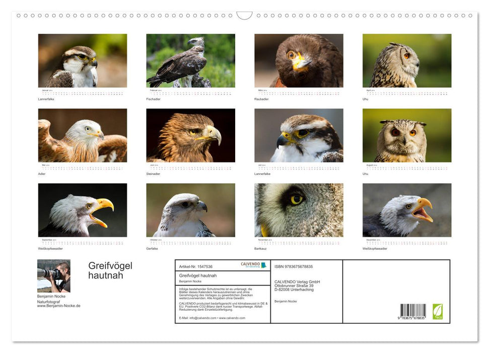 Greifvögel hautnah (CALVENDO Wandkalender 2014)