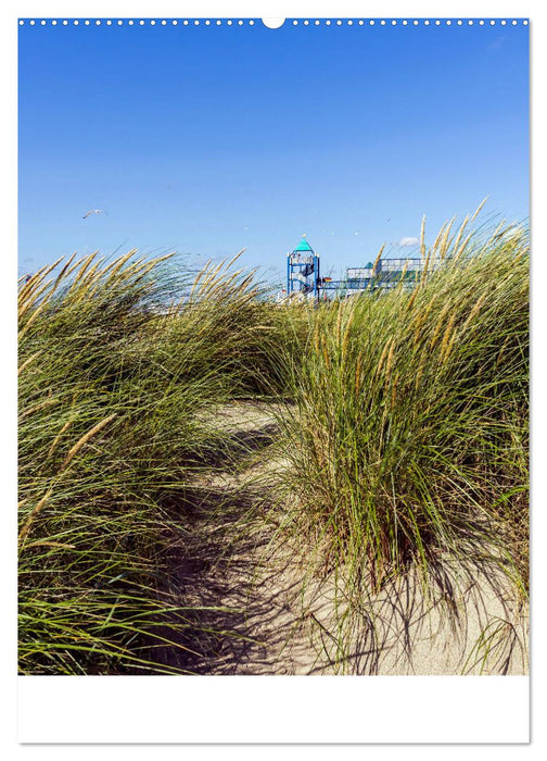 Norddeich Blick (CALVENDO Premium Wandkalender 2019)