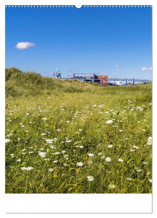 Norddeich Blick (CALVENDO Premium Wandkalender 2019)