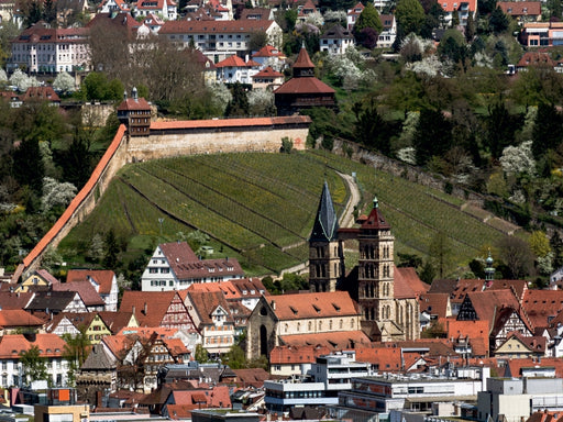 Luftbild auf Burg und Stadtkirche - CALVENDO Foto-Puzzle - calvendoverlag 29.99