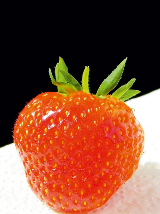 Erdbeere - CALVENDO Foto-Puzzle - calvendoverlag 29.99
