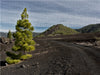 La Palma - Cumbre Nueva - CALVENDO Foto-Puzzle - calvendoverlag 29.99