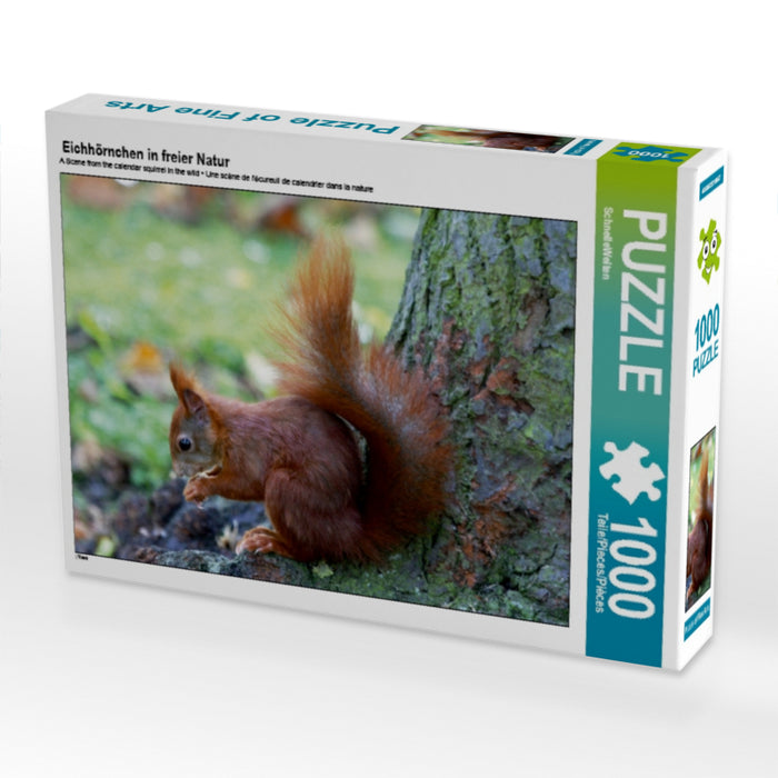 Eichhörnchen in freier Natur - CALVENDO Foto-Puzzle - calvendoverlag 29.99