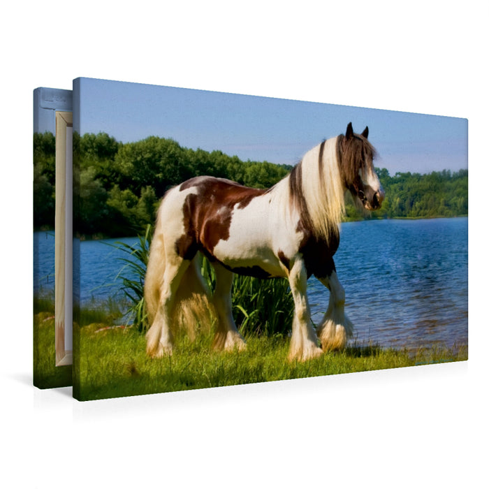 Premium Textil-Leinwand Premium Textil-Leinwand 90 cm x 60 cm quer Ein Motiv aus dem Kalender Gypsy Horses