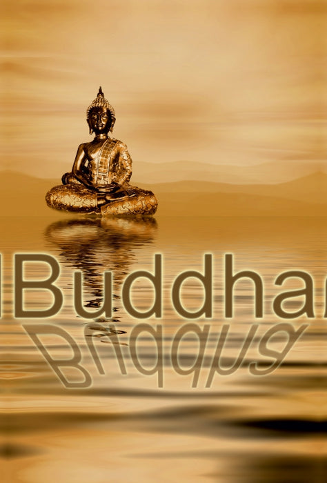 Premium Textil-Leinwand Premium Textil-Leinwand 80 cm x 120 cm  hoch Buddha und die Spiegelung