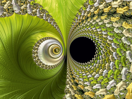 Die grüne Blüte - CALVENDO Foto-Puzzle - calvendoverlag 29.99