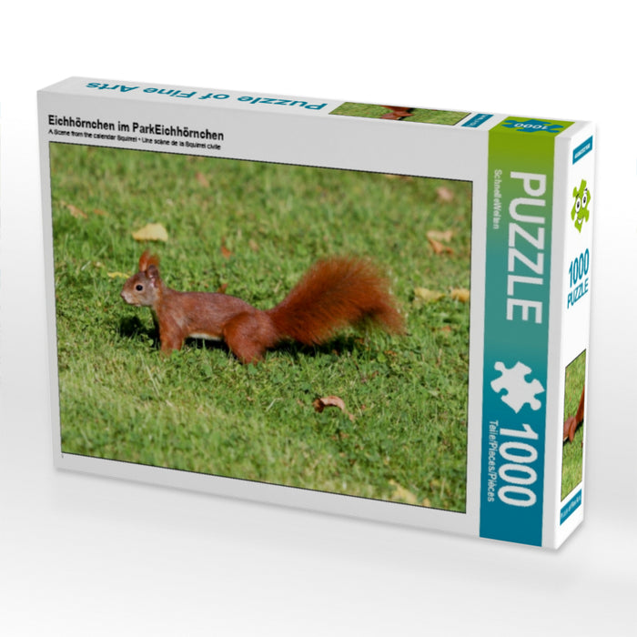 Eichhörnchen im ParkEichhörnchen - CALVENDO Foto-Puzzle - calvendoverlag 29.99