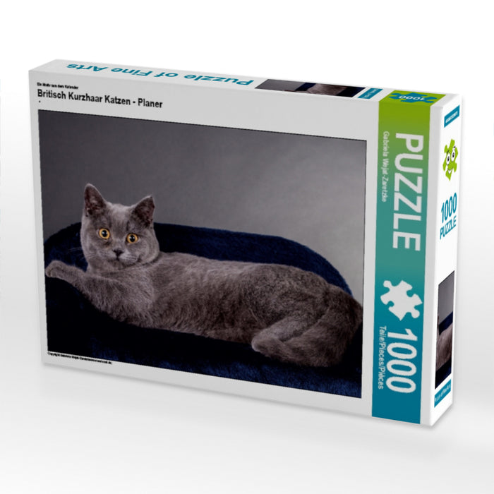 Britisch Kurzhaar Katzen - Planer - CALVENDO Foto-Puzzle - calvendoverlag 29.99