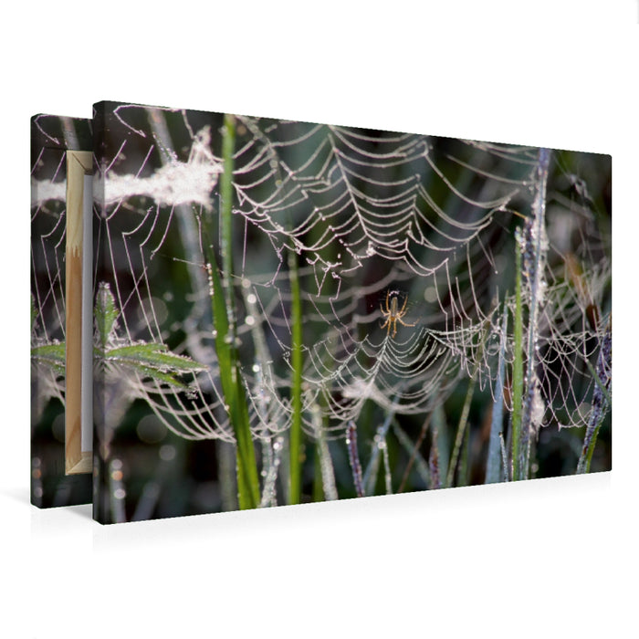 Toile textile haut de gamme Toile textile haut de gamme 75 cm x 50 cm paysage L'araignée a tourné finement et espère une proie qui s'envolera. 