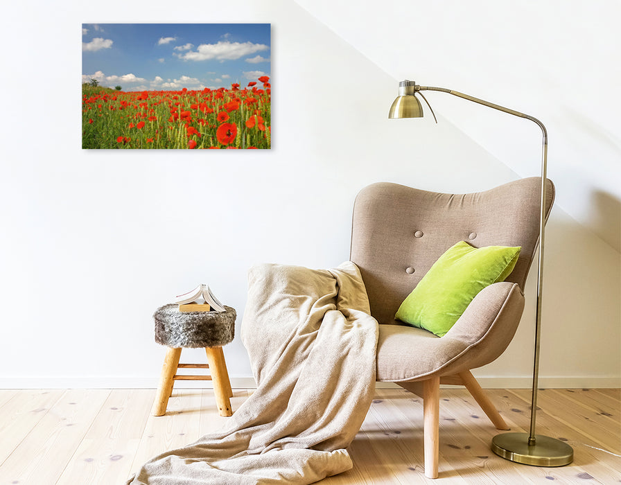 Toile textile premium Toile textile premium 75 cm x 50 cm paysage Champ de coquelicots 