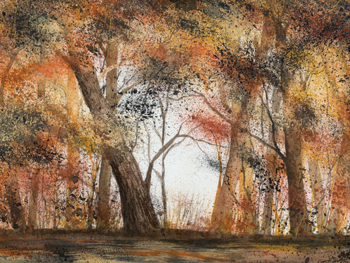Herbstbäume - CALVENDO Foto-Puzzle - calvendoverlag 29.99