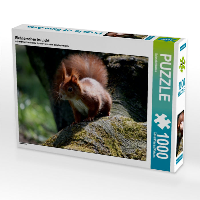 Eichhörnchen im Licht - CALVENDO Foto-Puzzle - calvendoverlag 29.99