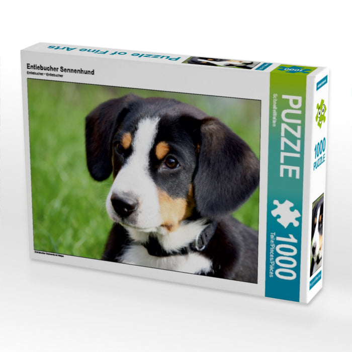 Entlebucher Sennenhund - CALVENDO Foto-Puzzle - calvendoverlag 29.99