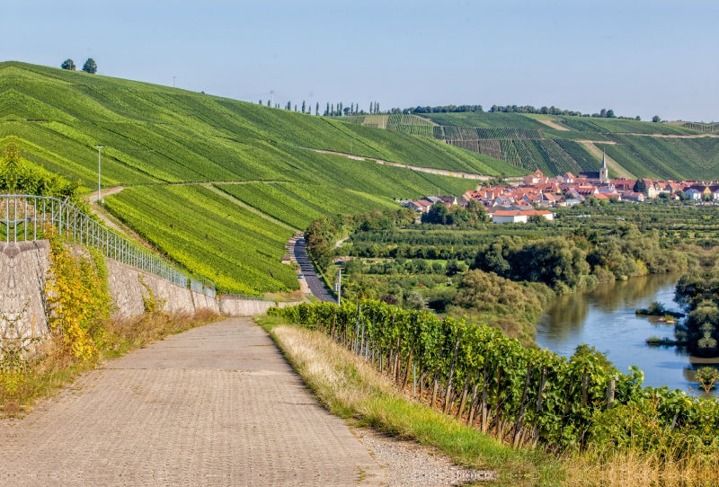 Premium Textil-Leinwand Premium Textil-Leinwand 120 cm x 80 cm quer Fränkische Toskana mit Blick auf die berühmte Weinlage Escherndorfer Lump