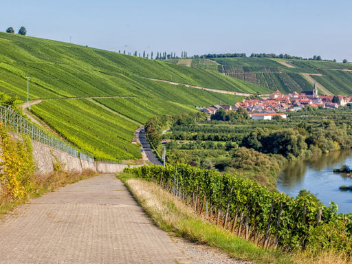 Fränkische Toskana mit Blick auf die berühmte Weinlage Escherndorfer Lump - CALVENDO Foto-Puzzle - calvendoverlag 29.99