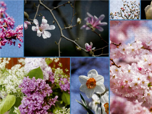 Florales zu jeder Jahreszeit - CALVENDO Foto-Puzzle - calvendoverlag 29.99