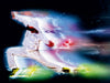 The Dance Explosion "Neonlicht" - CALVENDO Foto-Puzzle - calvendoverlag 29.99
