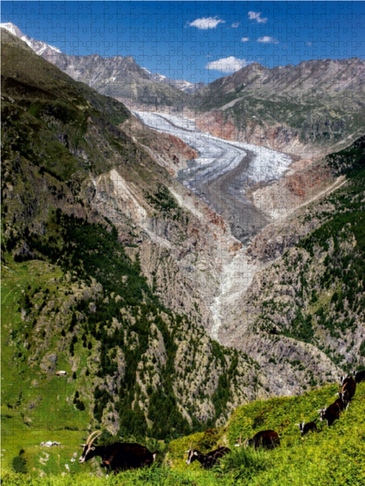 Fieschergletscher (Wallis - Schweiz) - CALVENDO Foto-Puzzle - calvendoverlag 35.99