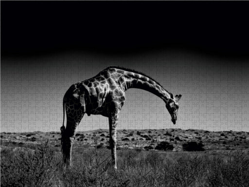 Giraffe - CALVENDO Foto-Puzzle - calvendoverlag 29.99