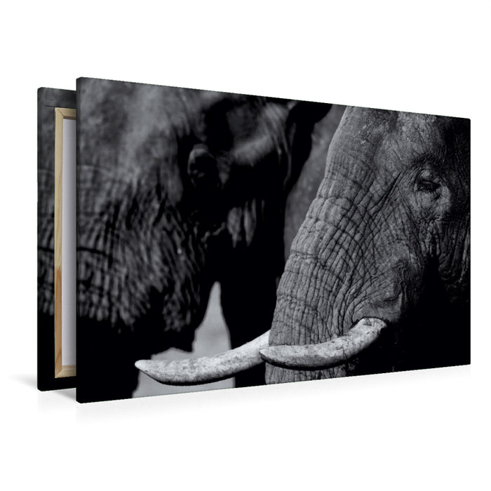 Toile textile premium Toile textile premium 120 cm x 80 cm paysage éléphant d'Afrique 