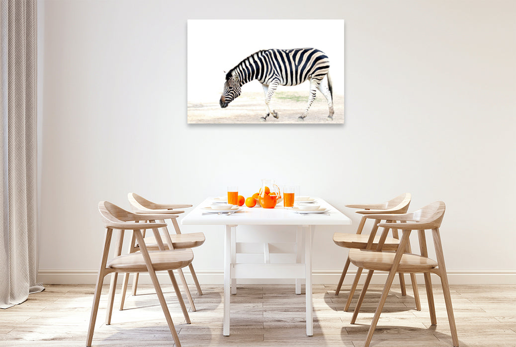 Premium Textil-Leinwand Premium Textil-Leinwand 120 cm x 80 cm quer Zebra