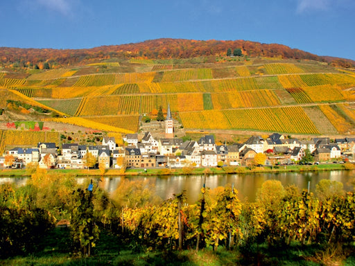 Cell an der Mosel - CALVENDO Foto-Puzzle - calvendoverlag 29.99