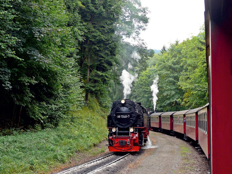 Bei der Brockenbahn im Harz - CALVENDO Foto-Puzzle - calvendoverlag 29.99