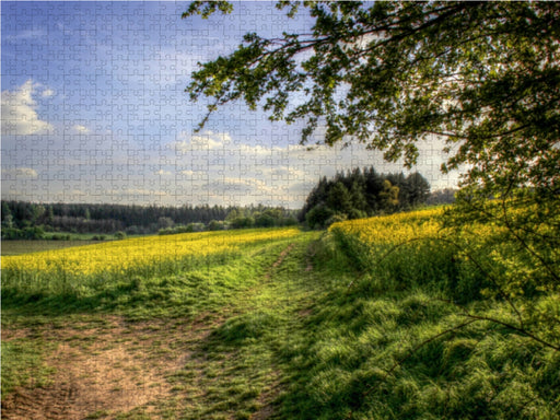 Rapsfeld in der Gegend von Mechernich - CALVENDO Foto-Puzzle - calvendoverlag 29.99