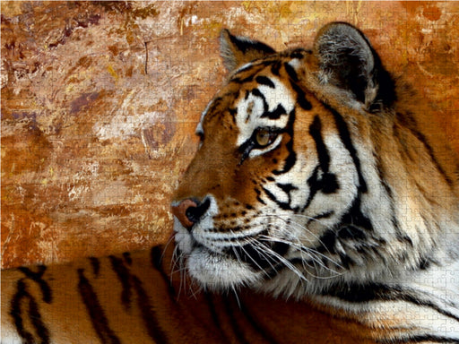 Sibirischer Tiger - CALVENDO Foto-Puzzle - calvendoverlag 29.99