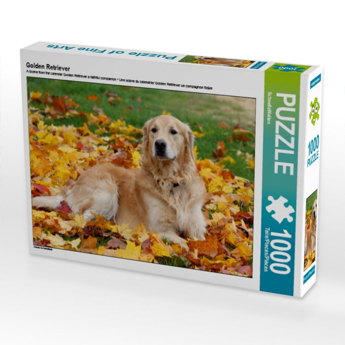 Golden Retriever - CALVENDO Foto-Puzzle - calvendoverlag 29.99