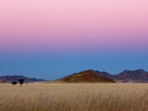 Morgens in der Namib in Afrika - CALVENDO Foto-Puzzle - calvendoverlag 34.99