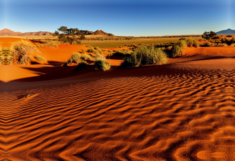 Premium Textil-Leinwand Premium Textil-Leinwand 75 cm x 50 cm quer Morgenlicht in der Namib-Wüste in der Sossusvlei