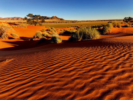 Morgenlicht in der Namib-Wüste in der Sossusvlei - CALVENDO Foto-Puzzle - calvendoverlag 34.99