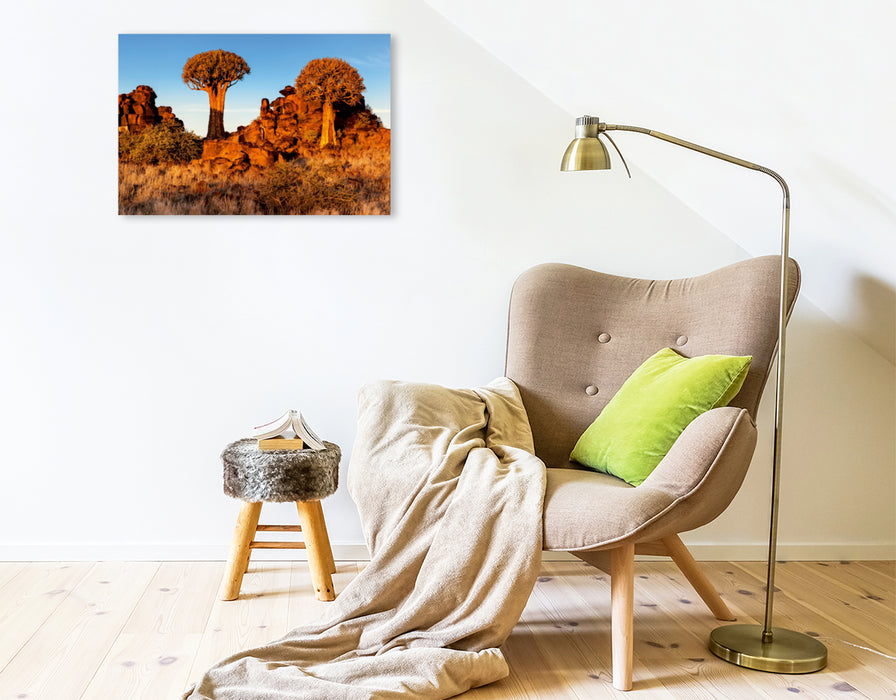 Premium Textil-Leinwand Premium Textil-Leinwand 75 cm x 50 cm quer Köcherbaum im Abendlicht in der Namib Wüste in Namibia