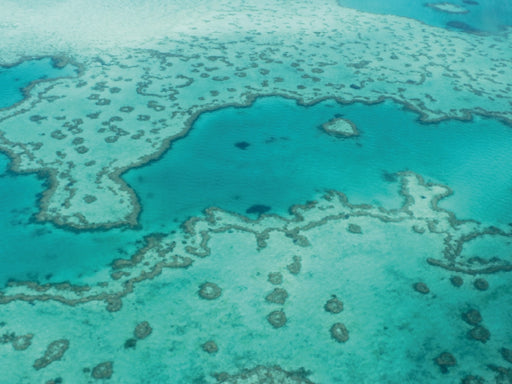 Great Barrier Reef Queensland Australien - CALVENDO Foto-Puzzle - calvendoverlag 29.99