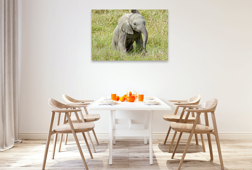 Premium Textil-Leinwand Premium Textil-Leinwand 120 cm x 80 cm quer Elefant.....kleiner Jumbo