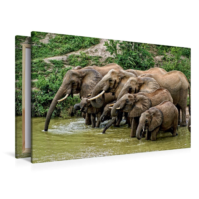 Toile textile premium Toile textile premium 120 cm x 80 cm paysage Eléphants...Rencontre au point d'eau 