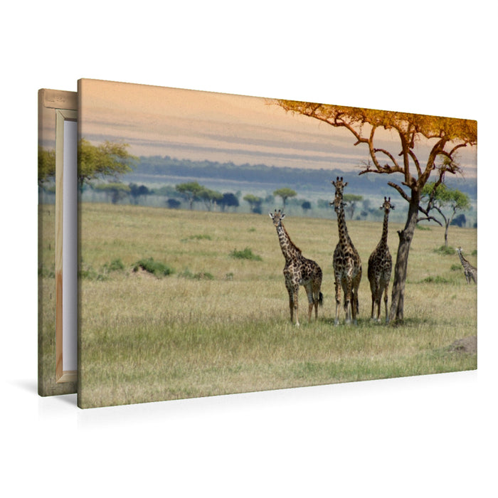 Premium Textil-Leinwand Premium Textil-Leinwand 120 cm x 80 cm quer Ein Motiv aus dem Kalender Faszination Safari. Wildlife in Kenia