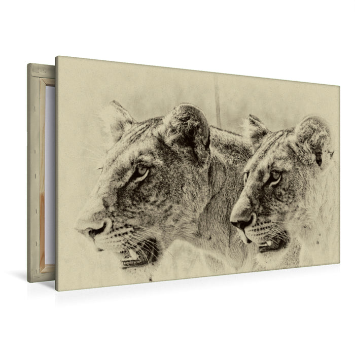 Toile textile premium Toile textile premium 120 cm x 80 cm paysage Safari - à la recherche de chats 