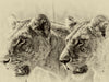 Safari - auf Katzensuche - CALVENDO Foto-Puzzle - calvendoverlag 30.99