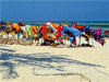 Diani Beach Südküste - CALVENDO Foto-Puzzle - calvendoverlag 29.99