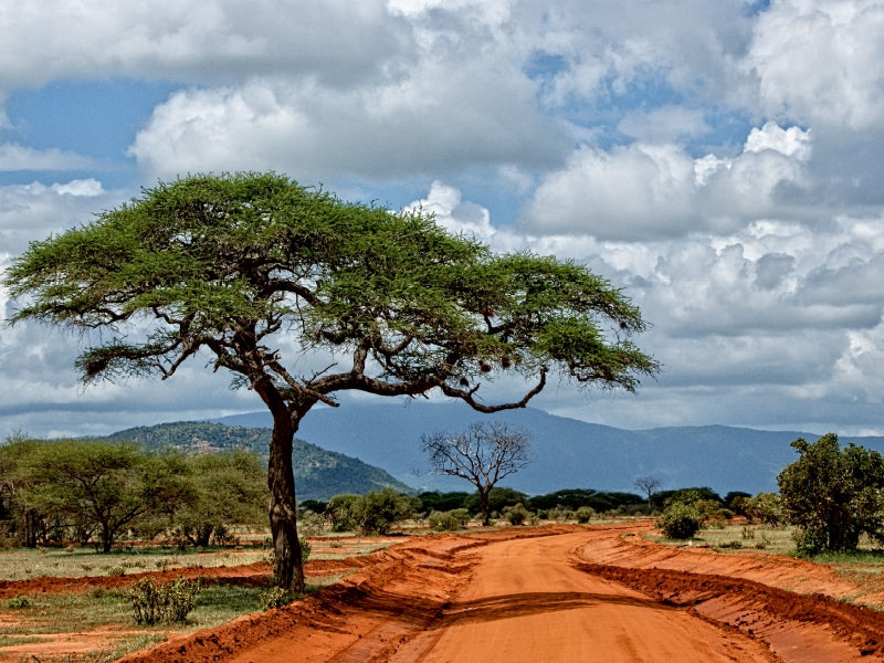 Tsavo Ost Nationalpark - CALVENDO Foto-Puzzle - calvendoverlag 30.99