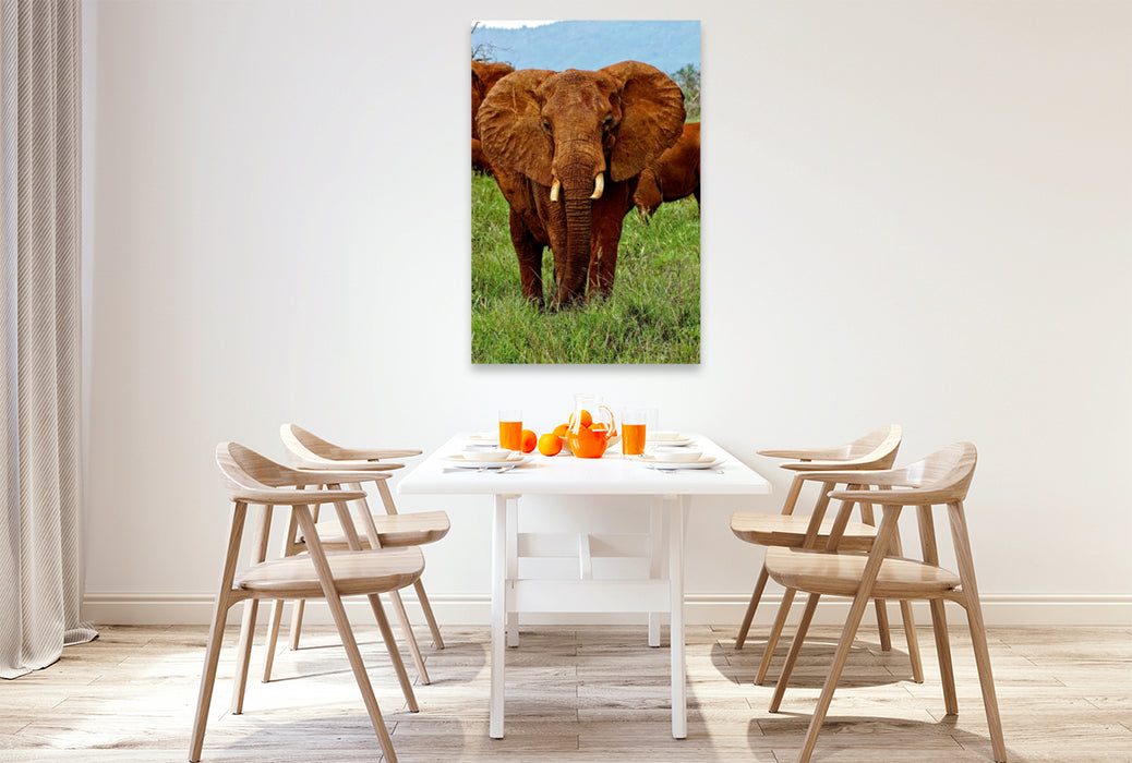 Premium Textil-Leinwand Premium Textil-Leinwand 80 cm x 120 cm  hoch Elefant....auf Safari