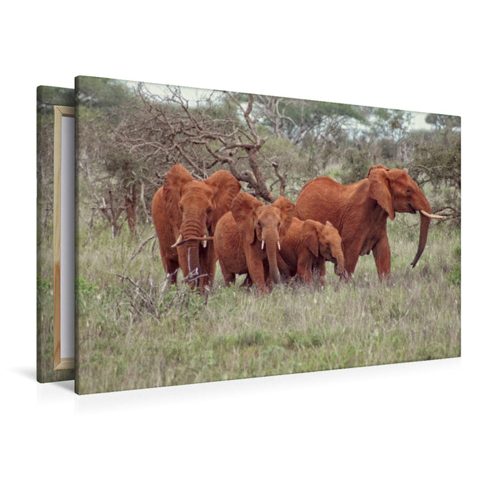 Premium Textil-Leinwand Premium Textil-Leinwand 120 cm x 80 cm quer Elefantenherde mit Jungtieren