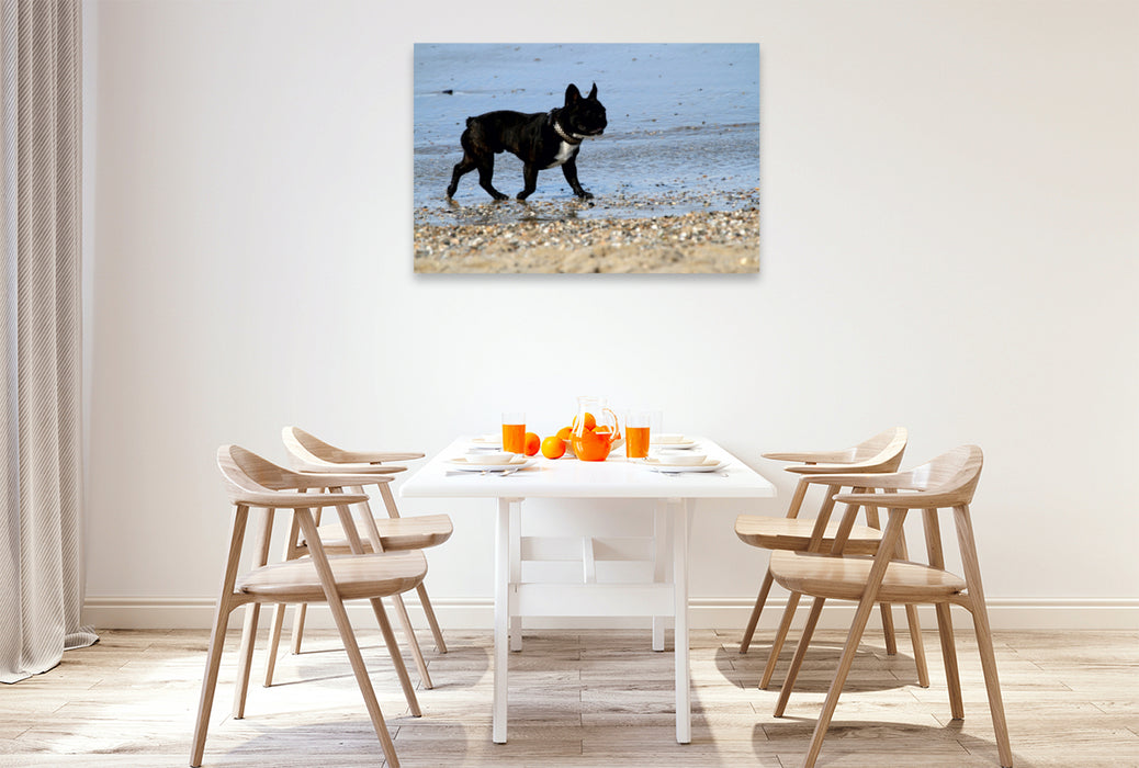 Premium Textil-Leinwand Premium Textil-Leinwand 120 cm x 80 cm quer HUND AM STRAND