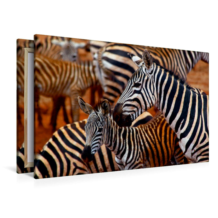 Premium Textil-Leinwand Premium Textil-Leinwand 120 cm x 80 cm quer Zebras im Tsavo Ost