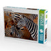 Zebras im Tsavo Ost - CALVENDO Foto-Puzzle - calvendoverlag 30.99