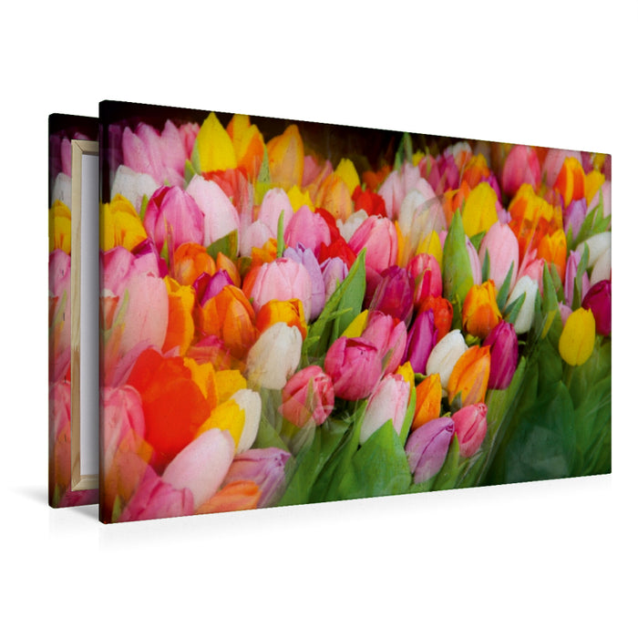 Premium Textil-Leinwand Premium Textil-Leinwand 120 cm x 80 cm quer Ein Motiv aus dem Kalender Tulpen