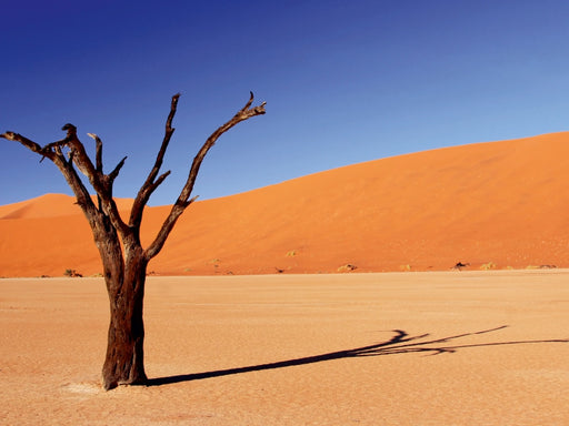 Dead Vlei in Namibia - CALVENDO Foto-Puzzle - calvendoverlag 29.99