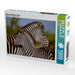 Zebra-Kleinfamilie, Afrika - CALVENDO Foto-Puzzle - calvendoverlag 29.99